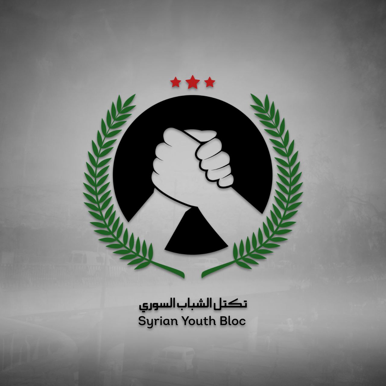 Read more about the article تكتل الشباب السوري